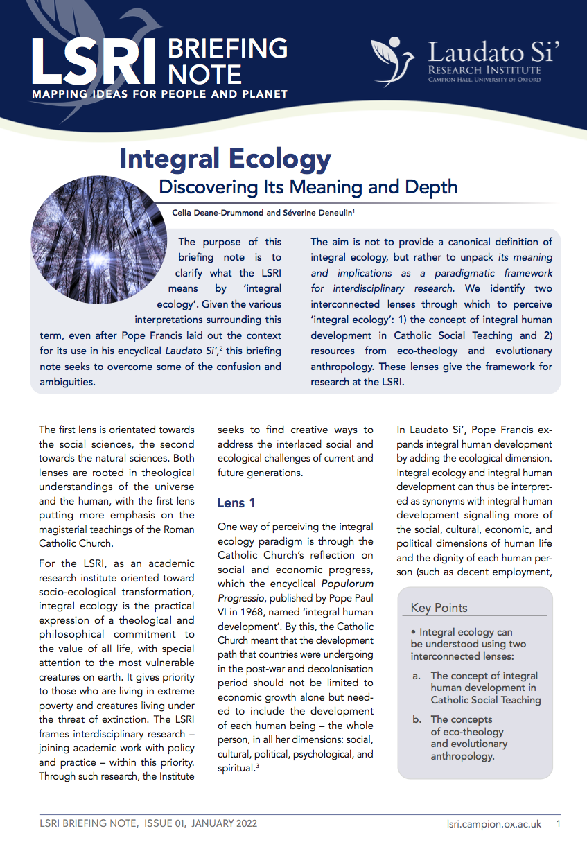 integral-ecology-discovering-its-meaning-and-depth-laudato-si