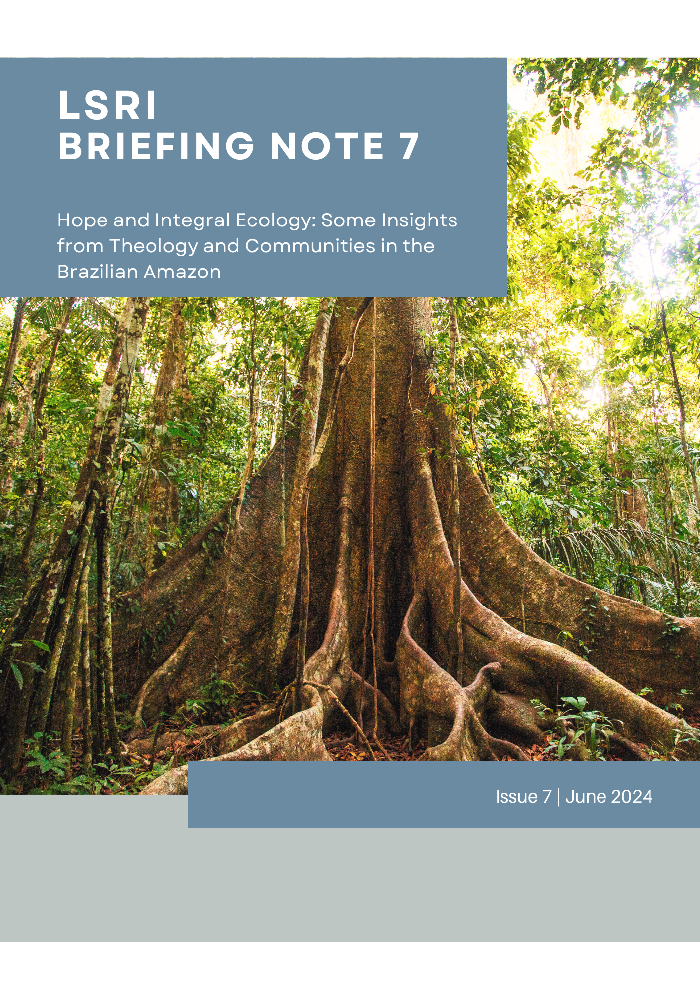 Hope and Integral Ecology Briefing Note 7