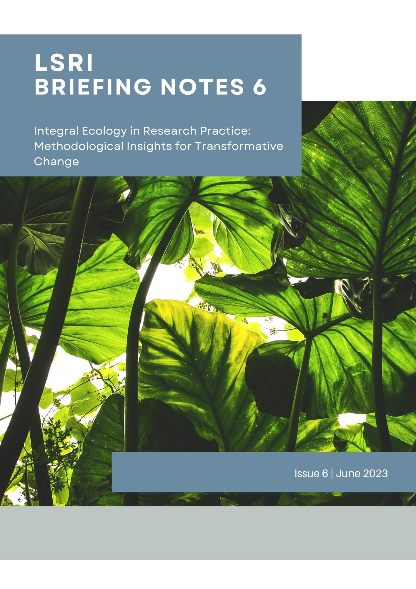 Cover of Integral Ecology Methodology briefing note