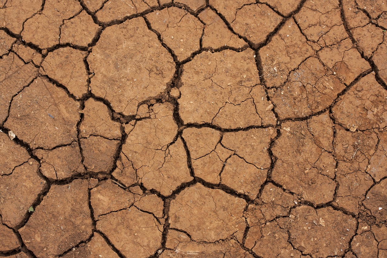 Image of dried earth