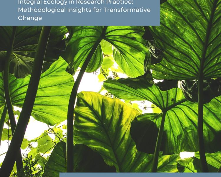 Cover image of Briefing Note: Integral Ecology in Research Practice 