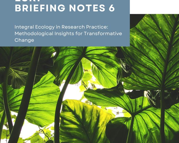 Cover image of Integral Ecology methodology briefing note 