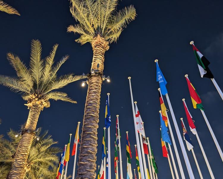 Photo of world flags at COP28 in Dubai