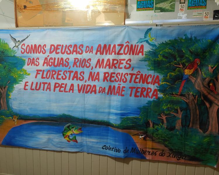Altamira Movement Xingu Vivo