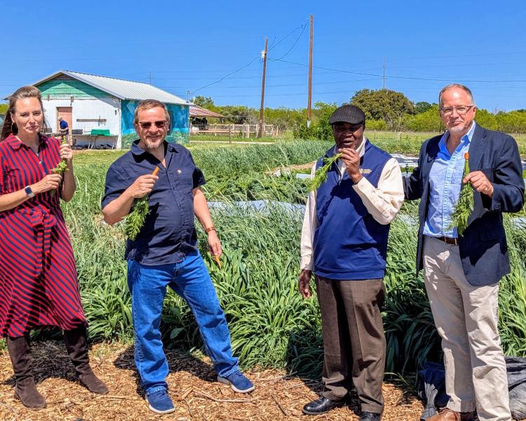 Conference speakers with vegetables in a field