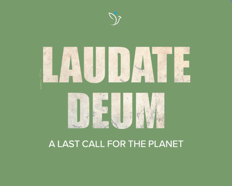 Laudate Deum: A Last Call for the Planet? An Interview with the editor, Fr Joshtrom Kureethadam